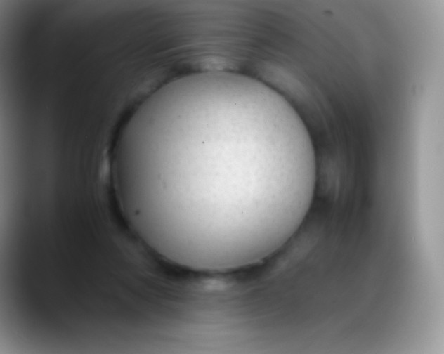 X0000089870310200707191943