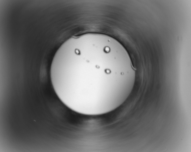 X0000089870312200707191943