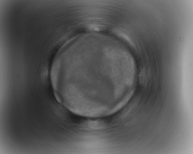 X0000089870314200707191943