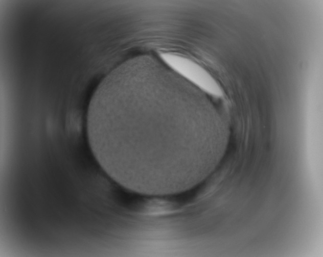 X0000089870315200707191943