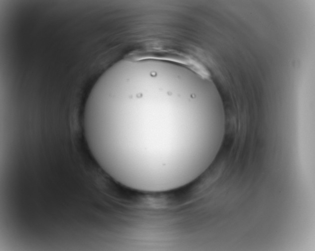 X0000089870317200707191943