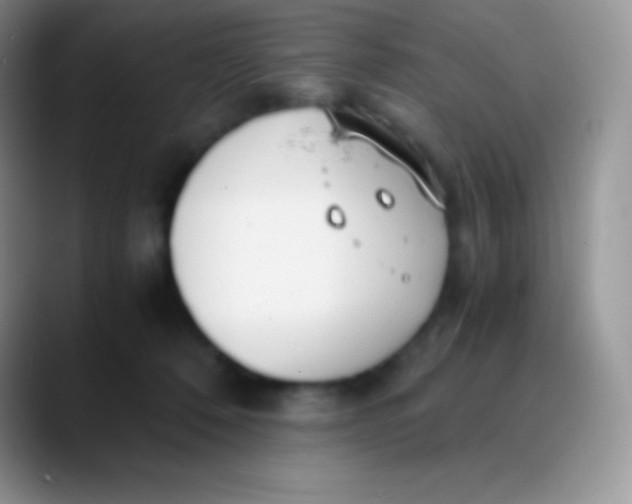 X0000089870320200707191943