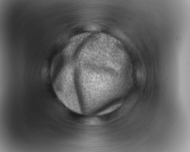 X0000089870322200707191943