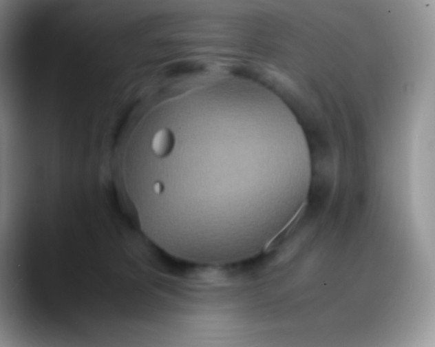 X0000089870325200707191943