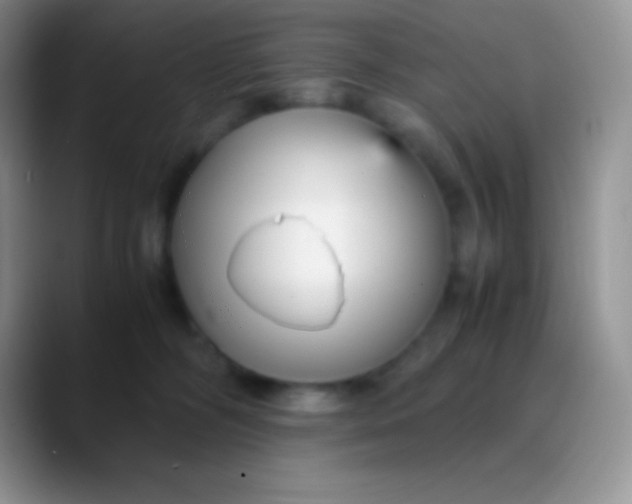 X0000089870326200707191943