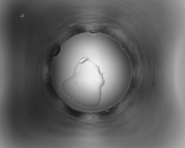 X0000089870327200707191943