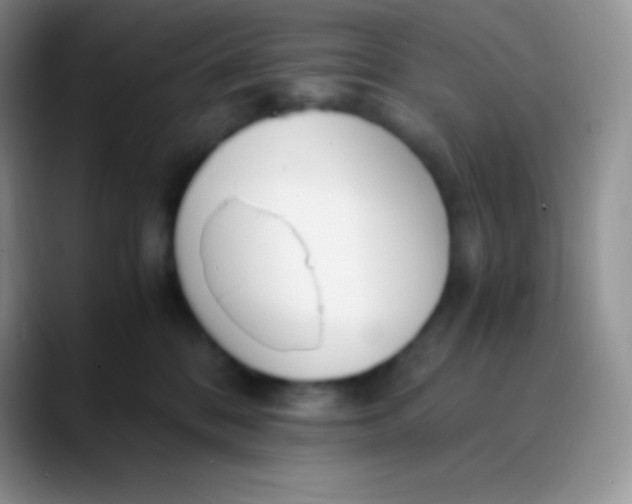 X0000089870328200707191943