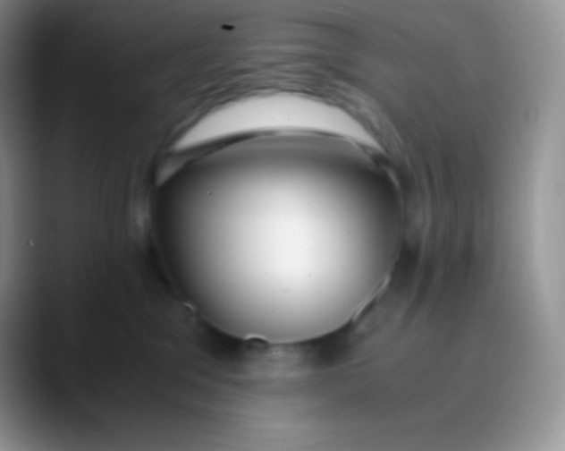 X0000089870329200707191943