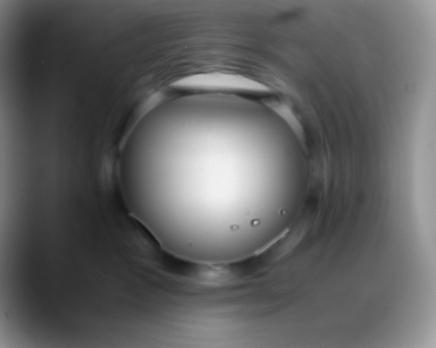 X0000089870333200707191943