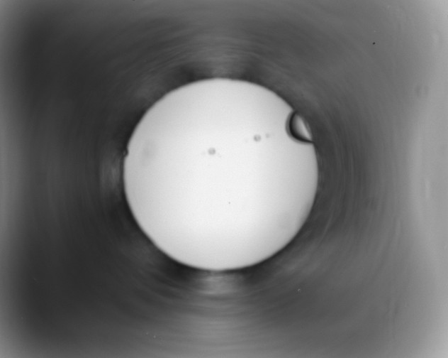 X0000089870336200707191943