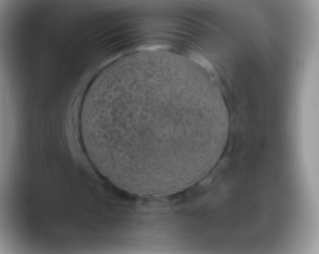 X0000089870337200707191942