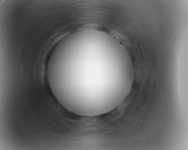 X0000089870338200707191942