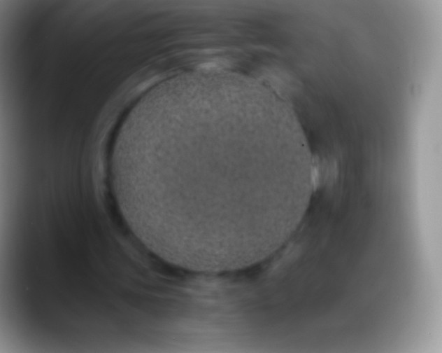 X0000089870339200707191942