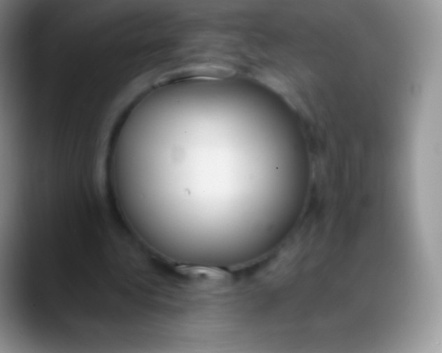 X0000089870340200707191942