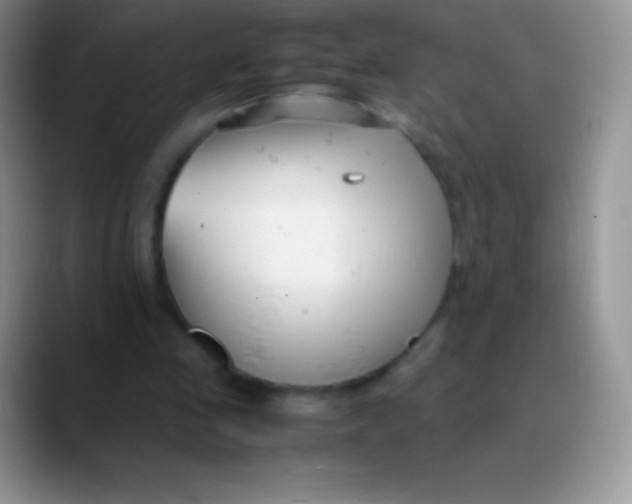 X0000089870341200707191942