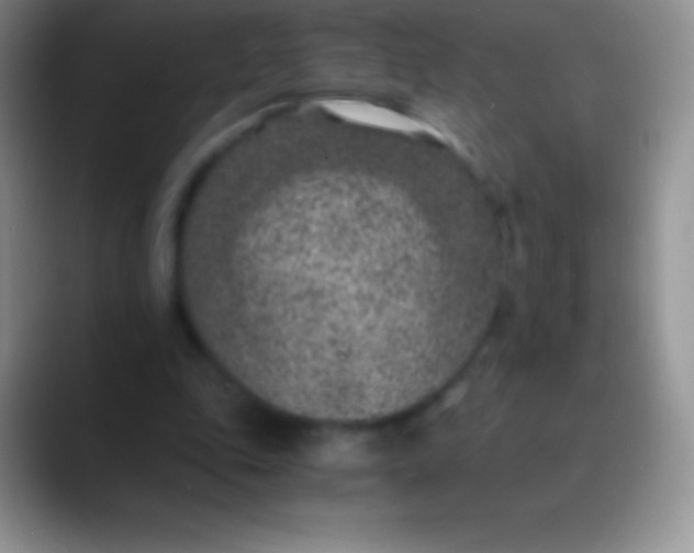 X0000089870343200707191942