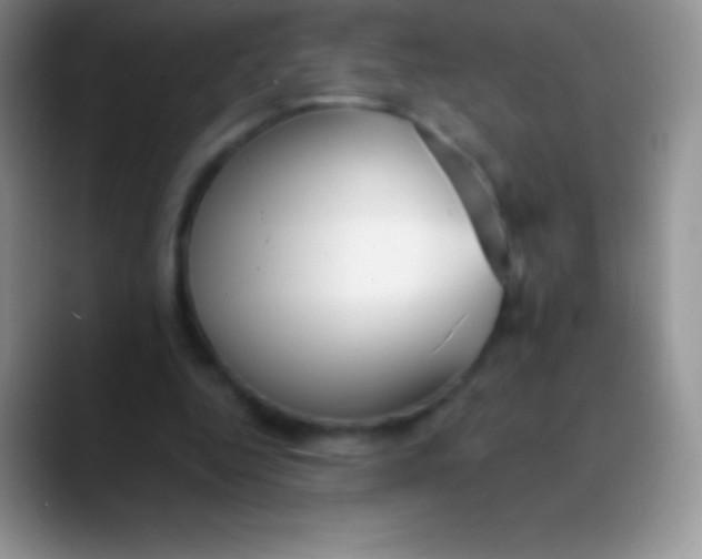 X0000089870344200707191942