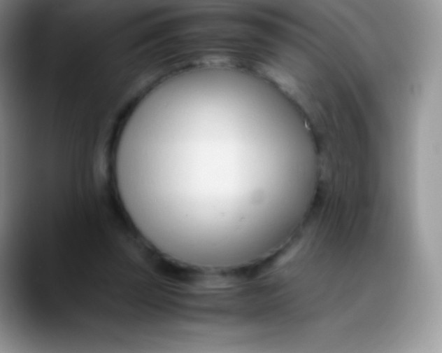 X0000089870347200707191942