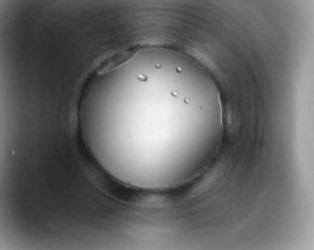 X0000089870348200707191942