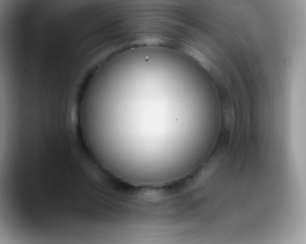 X0000089870350200707191942