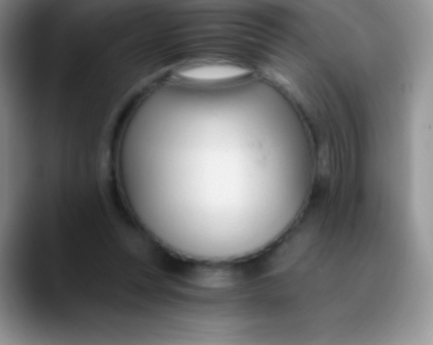 X0000089870351200707191942