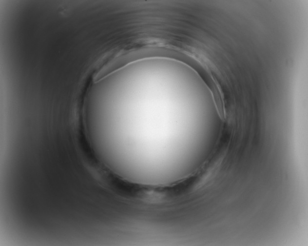 X0000089870352200707191942