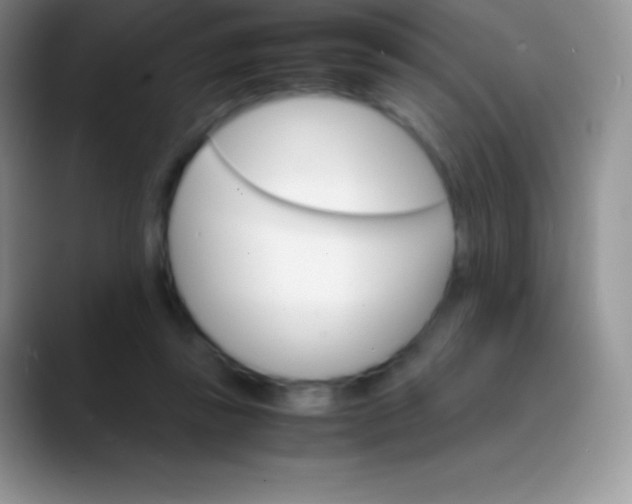 X0000089870355200707191942