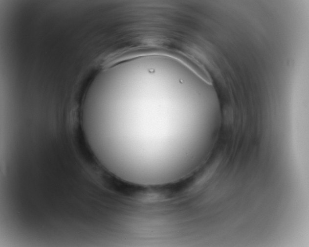 X0000089870356200707191942