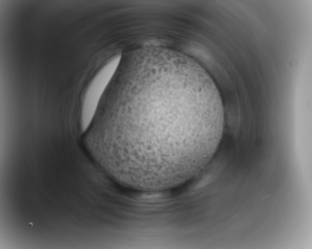 X0000089870357200707191942