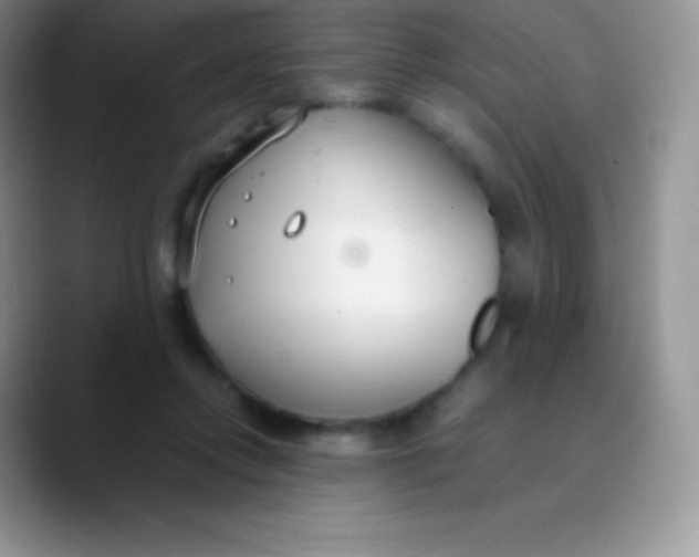 X0000089870358200707191942