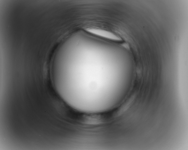 X0000089870359200707191942