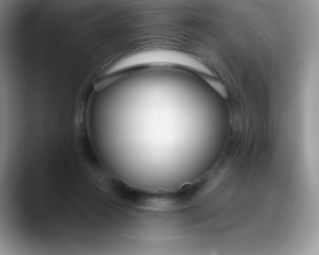 X0000089870360200707191942