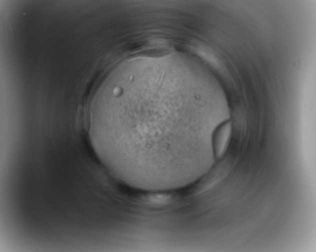 X0000089870361200707191942