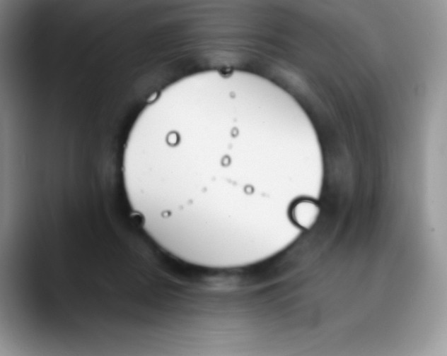 X0000089870362200707191942