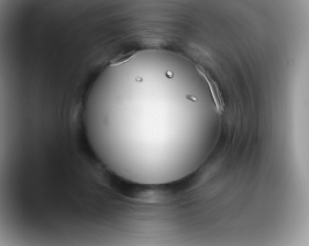 X0000089870364200707191942