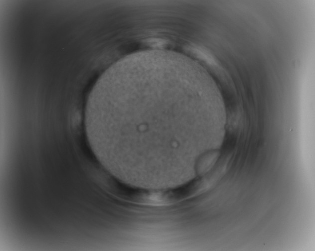 X0000089870365200707191942