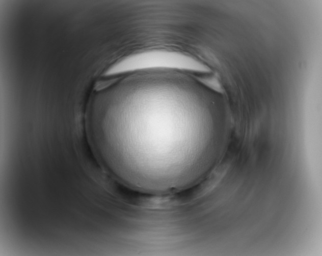 X0000089870366200707191942