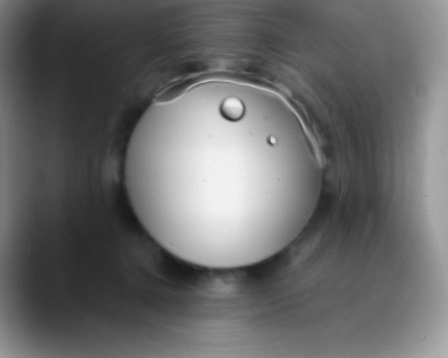 X0000089870368200707191942