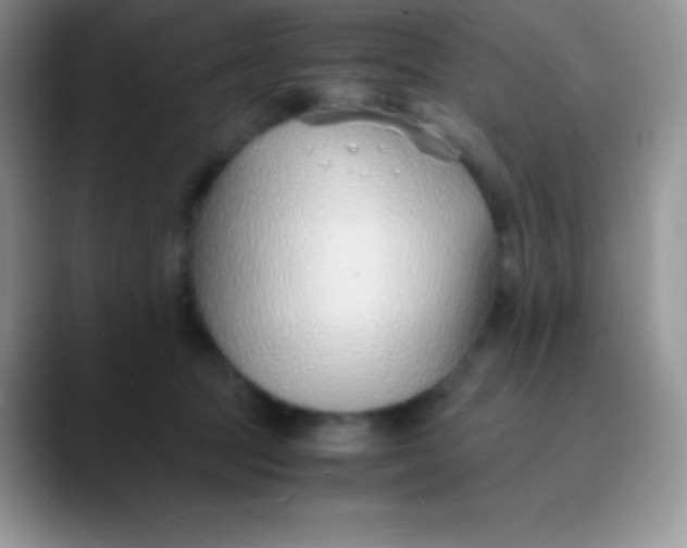 X0000089870369200707191942