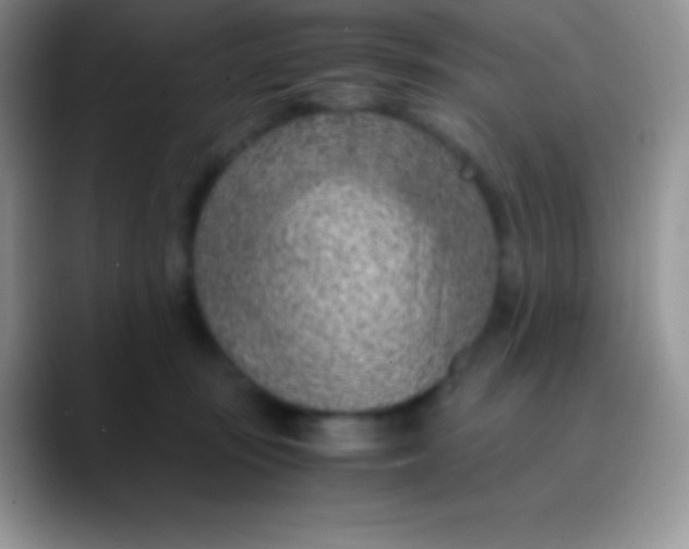 X0000089870371200707191942