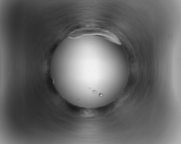 X0000089870372200707191942