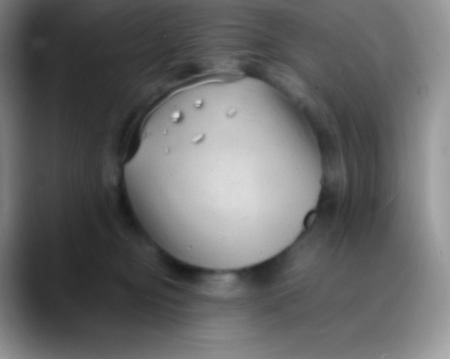 X0000089870374200707191943