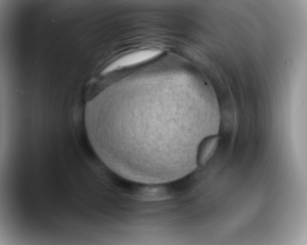 X0000089870375200707191943