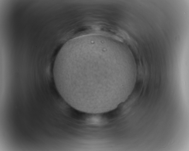 X0000089870377200707191943