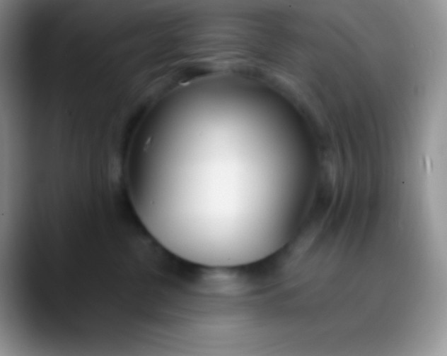 X0000089870380200707191943