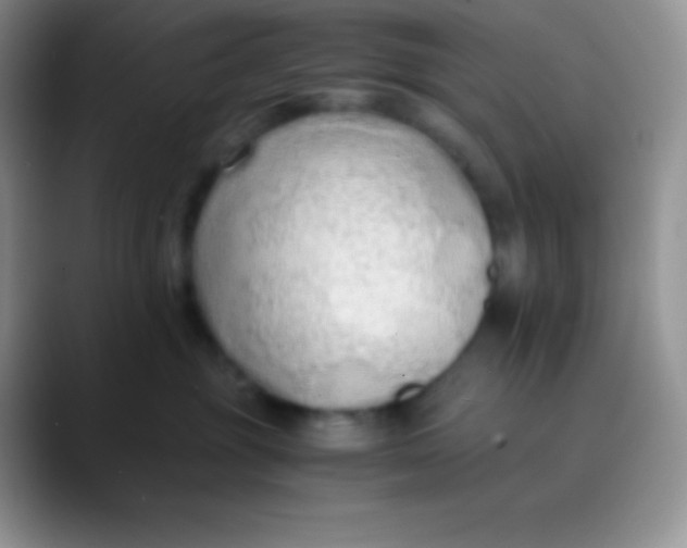 X0000089870381200707191943