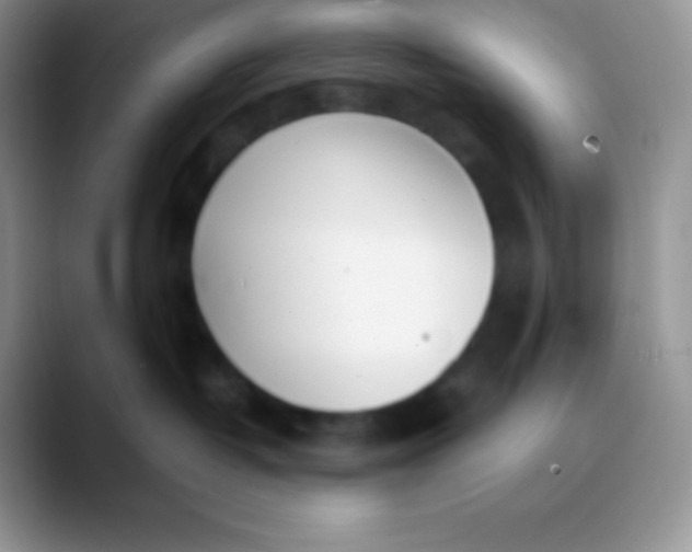 X0000089870382200707191943