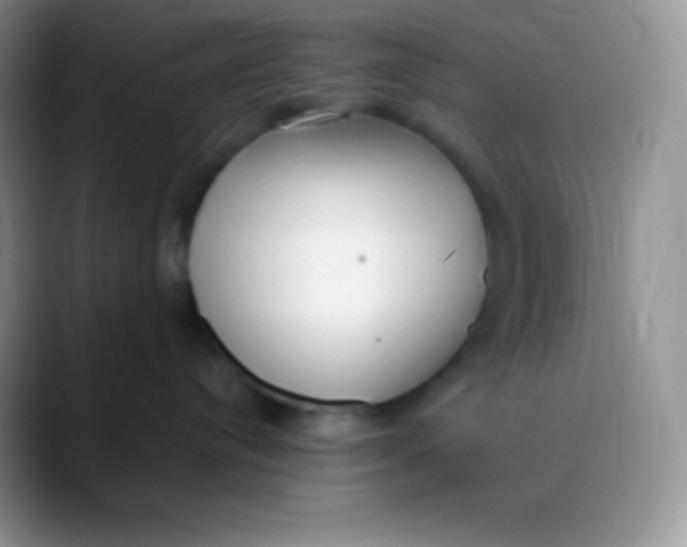 X0000089870384200707191943