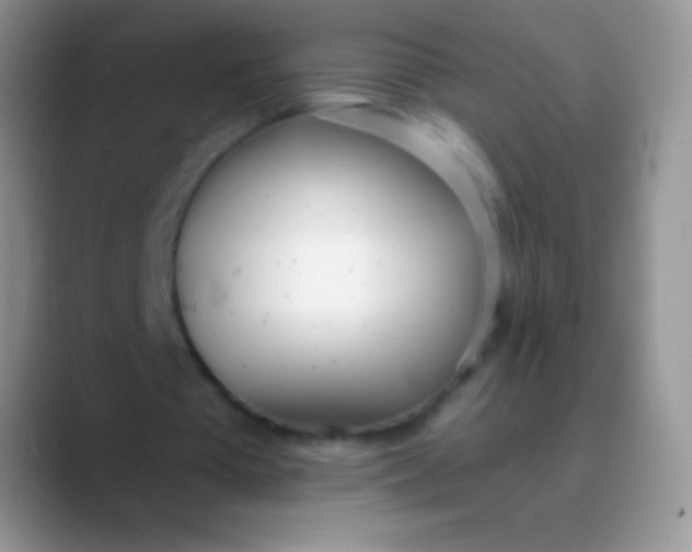 X0000089870385200707191942