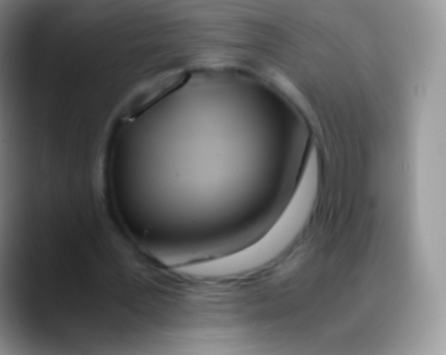 X0000089870387200707191942